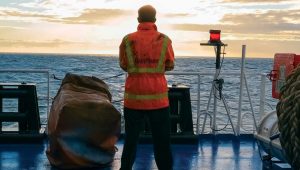 Shipowners delaying wages to the crews