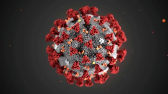 Coronavirus_molecula